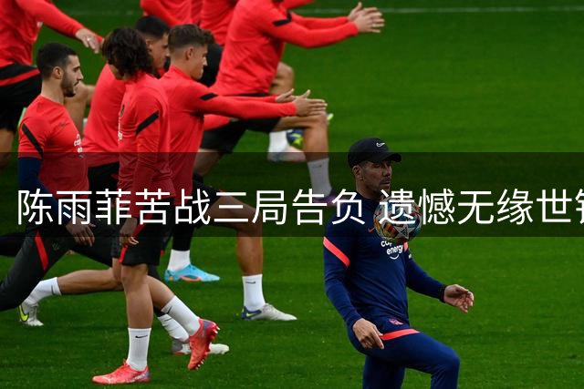 陈雨菲苦战三局告负 遗憾无缘世锦赛八强